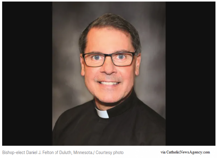 Green Bay Priest, Fr. Dan Felton, Named of Duluth, Minnesota