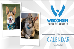 Wisconsin Humane Society Announces 2023 Photo Calendar Contest - Green